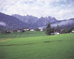FC04060