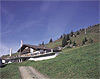 FC04082