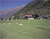 FC04093